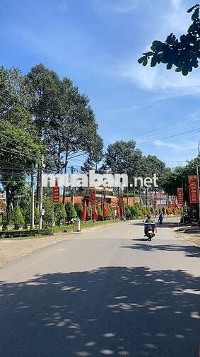 Bán đất thổ cư MT DH504 thích hợp kinh doanh, 570tr/ 147,7m2, SHR