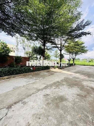 Bán nhà Thống Nhất, 65m2, 4 Tầng, 4PN, hẻm ÔTÔ nhựa 4m, nhà rộng, TL