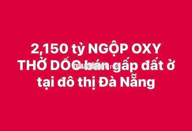 NGỘP ÔXY THỞ DỐC - CẦN BÁN ĐẤT GẤP