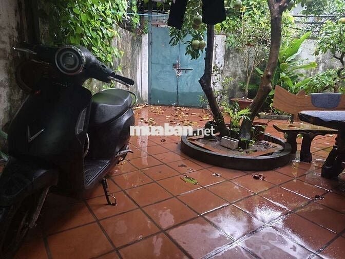 Cho thuê nhà full nội thất, tiện nghi quảng an tây hồ