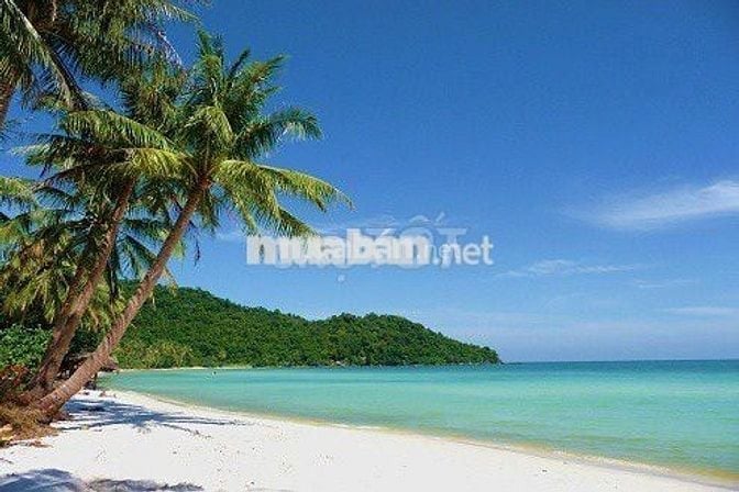 Bán đất Bãi sao, Hai mặt tiền Giá đầu tư