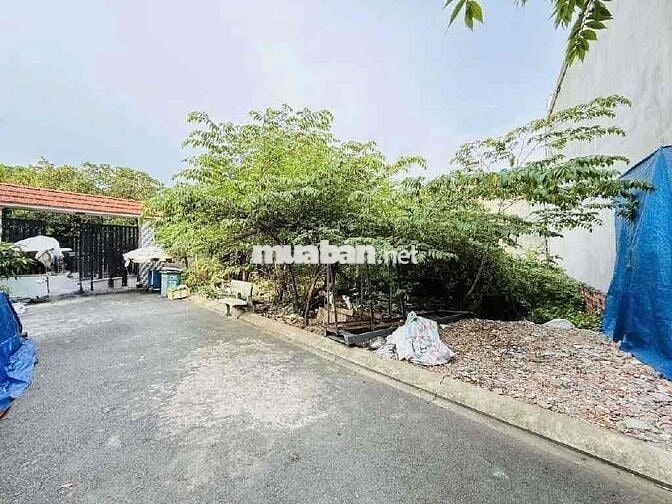250M2 QUÁCH ĐIÊU - FULL THỔ CƯ - HXT - KHÔNG LỖI - SỔ A4 - TIỆN XÂY