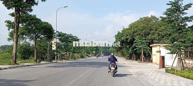 bán đất xuân nộn. Giá đẹp đầu tư