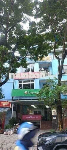 Cho thuê văn phòng tại số 15 Vạn Phúc,30 triệu,135 m2, Ba Đình, Hà Nội