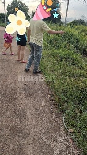 Bán Đất Sổ Riêng Thổ Cư Gần Đường Sông Nhạn Dầu Giây. Giá 440TR.
