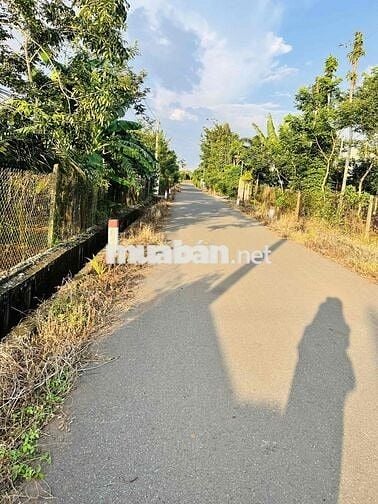 Đất thổ cư mặt tiền đường nhựa (20m x 69m)