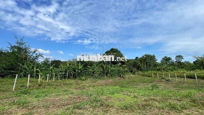 Đất ngộp giá rẻ thổ cư ven suối sát SB Long Thành chỉ 17km