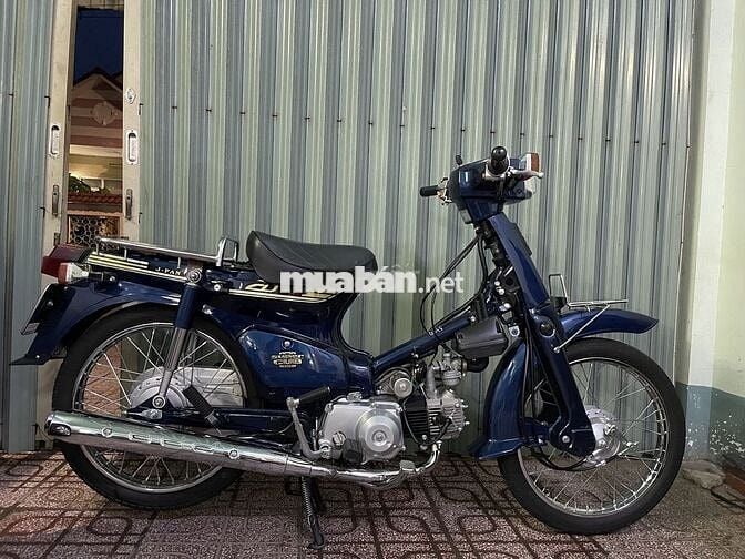 Cub 50 2023