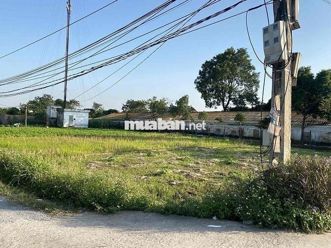 Đất nông nghiệp 360m2 trên đường Phụng Châu, phường Chương Mỹ HN