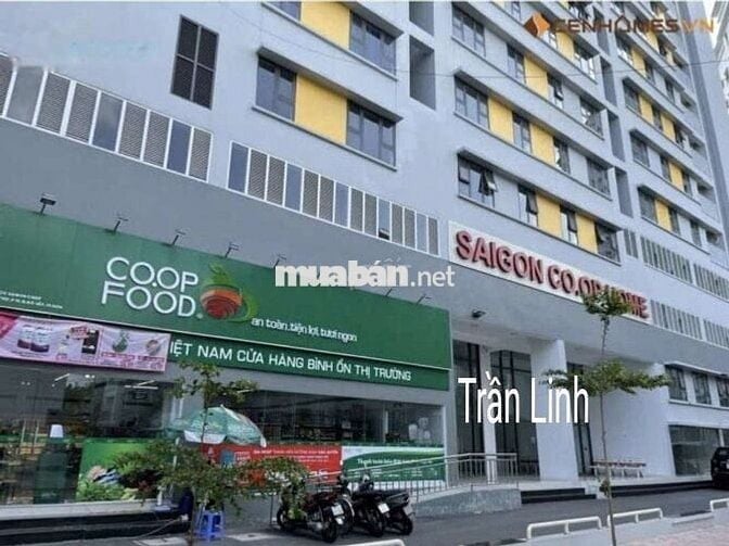 Bán CĂN GÓC chung cư Sài Gòn Coop, có sổ mới trục Nguyễn Oanh Gò Vấp^^