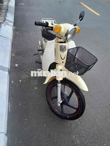 xe cúp 50cc