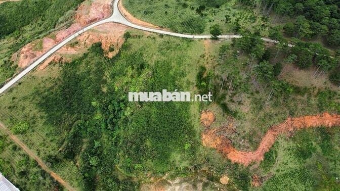 💥 5500m2 SRNN Đa Nhim, Lạc Dương, cách Đà Lạt 27km giá tốt đầu tư