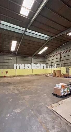 Kho đẹp cần cho thuê ở Đường Đào Trí có pccc diện tích 526m2