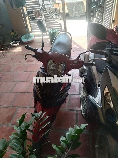 Cần tiền bán xe máy