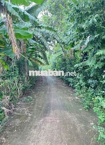 🌿 BÁN ĐẤT XÃ XUÂN TÂY – HUYỆN CẨM MỸ – ĐỒNG NAI 🌿  📍 Vị trí: Xã Xuân T