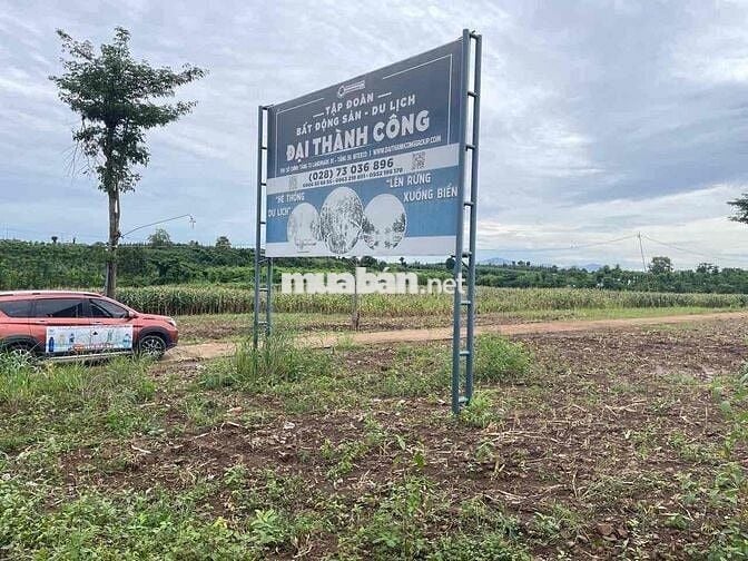 🌿 BÁN ĐẤT XÃ LÂM SAN – HUYỆN CẨM MỸ – ĐỒNG NAI 🌿  📍 Vị trí: Xã Lâm San