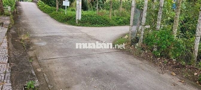 Đất Mặt Tiền gần trường học, chợ ủy ban TT Huỳnh Hữu Nghĩa