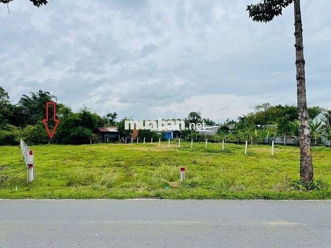Bán nhanh lô đất Đ.Ninh Tốn, Thị Trấn Củ Chi, DT 97m2 giá 800tr SHR