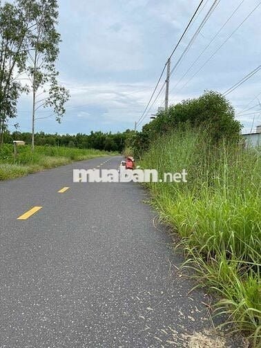Chính chủ cần bán đất ấp Nhân Trung, 556m giá 2 tỷ 9, có thương lượng