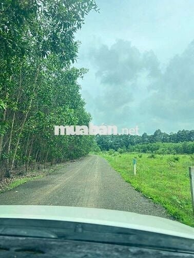 20x50 m mặt tiền đường nhựa sổ riêng, 450 tr
