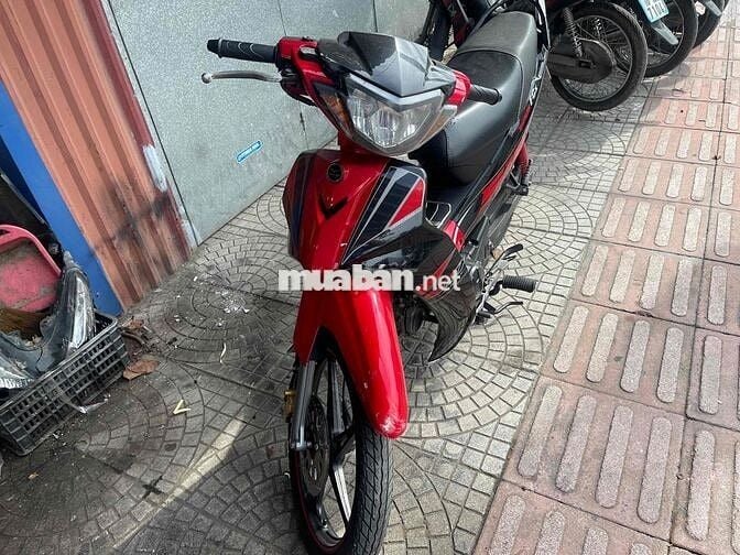 ớt bản đời cao chất đẹp