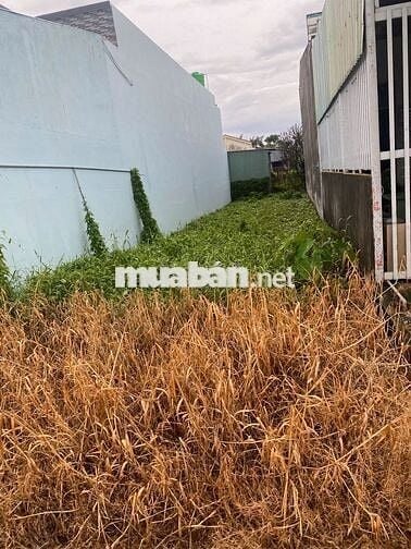 Ngay đường Trương Văn bang, Cần Đước, Long An, 100m2, đất thổ cư
