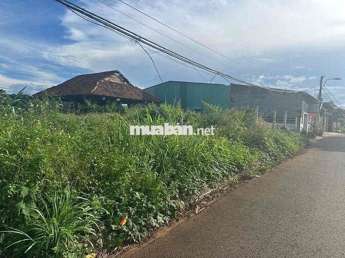 🌿 BÁN ĐẤT ĐẸP GẦN ECOCITY – ĐƯỜNG DÃ TƯỢNG (QH 24M) 🌿