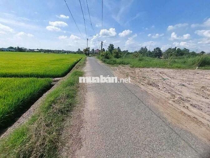 Mặt tiền đường nhựa liên ấp 2,4 long sơn cần Đước Long An