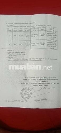 Chính Chủ Cần Bán Đất Ruộng Tân Nhựt Khu Kiến Vàng