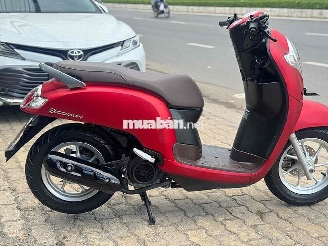 Scoopy