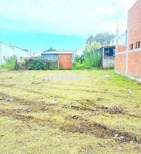 100m2 đất thổ Kdc Mỹ Lộc, Cần Giuộc, chỉ 750tr