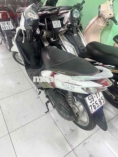 Mio Thái 2008 Bstp Zin Êm