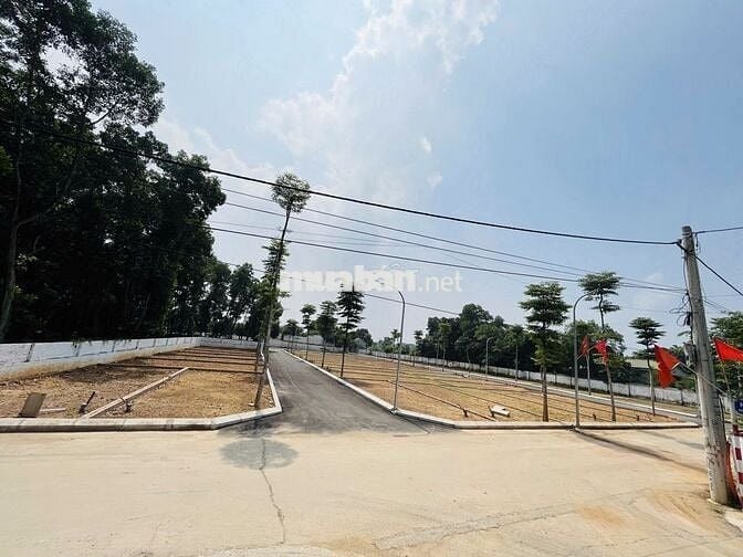 TÔI BÁN 60M FULL ĐẤT Ở CỔ ĐÔNG SƠN TÂY GẦN ĐƯỜNG QL21A LH 096.142.063