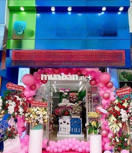 Cho Thuê Nhà Đường Lê Hồng Phong, Quận 10 ( 4x12m - 3 Lầu, 4WC )