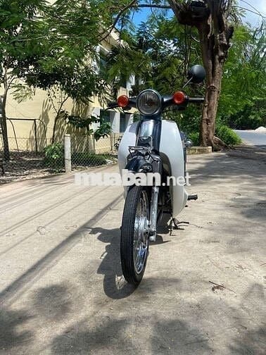 Cub 50 học Sinh (VIET THAI)