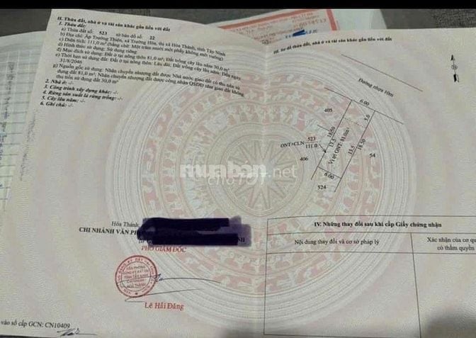 Đất đường nguyễn Văn Linh  111m2