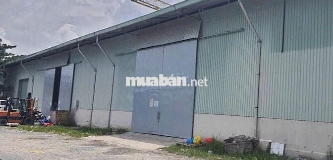 Kho đẹp ở Đường Gò Ô Môi cần cho thuê diện tích 200m2 trần thoáng