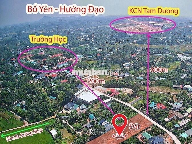 Đất F0 Hướng Đạo Full thổ cư gần trường học cho ace đầu tư