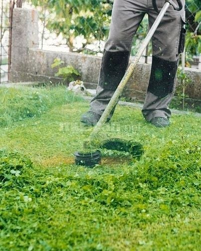 Bảo dưỡng cảnh quan trọn gói Đồng Nai 2025 – Chuyên nghiệp & tiết kiệm