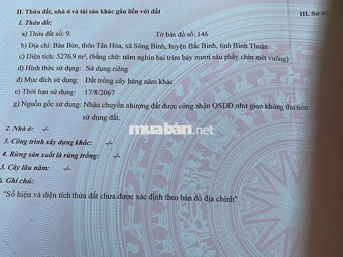 5.2 sào đất gần trường Tiểu học Sông Bình chỉ 1.25 tỷ