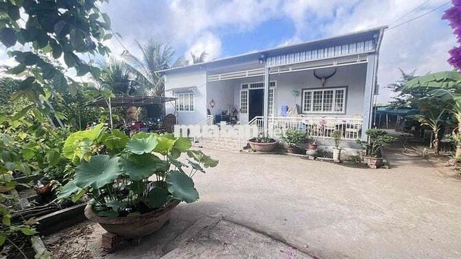 THANH LÍ BÁN RA LÔ ĐẤT 1000M2 THỔ CƯ SẴN 300M2 CÓ NHÀ, CÓ VƯỜN