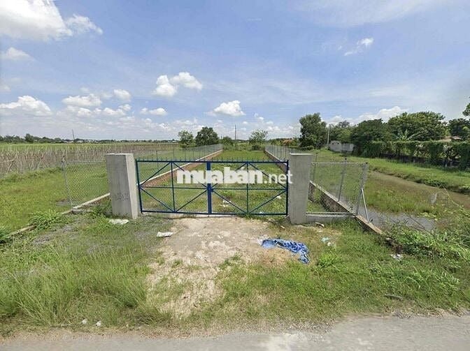 Đất 10×43, Sẵn 200m2 Thổ Cư, Cách QL22 1Km , Xã Phước Thạnh, Củ Chi
