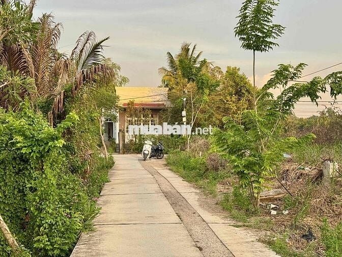 BÁN ĐẤT 2 MẶT TIỀN FULL THỔ CƯ – XÃ ĐA PHƯỚC, BÌNH CHÁNH - 138m2