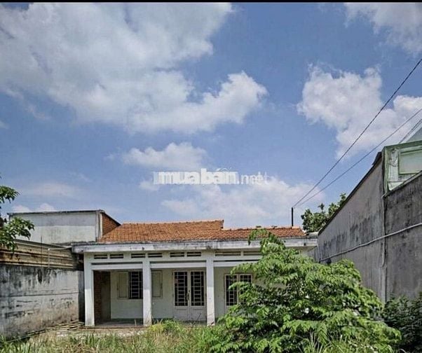 Nhà Cấp 4 Diện Tích 9.5x40.  Mặt Tiền Nhựa Kinh Doanh Đỉnh - Bán Gấp