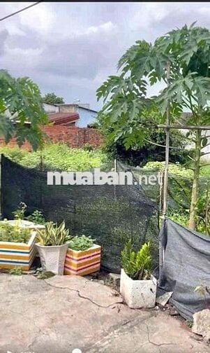bán đất mặt tiền đương nhựa 6 m đông thành dĩ an dt 67m
