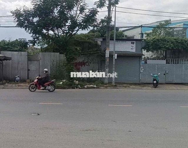 Bán 598 m2 đất ở đô thị mặt tiền đường Nguyễn Cửu Phú, Phường Tân Tạo