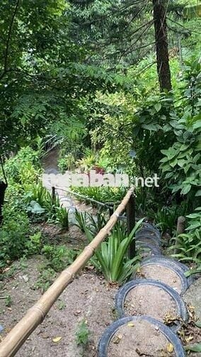 Chị em cần bán gấp lô đất vườn view hồ trị an giá rẻ 733tr tại ĐQ