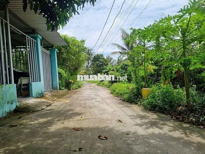 Đất 2000m2 có 1677m2 thổ cư, 1 xẹt Nhị Bình 2 đường oto giá siêu rẻ