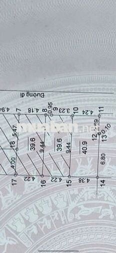 ĐẤT PHÂN LÔ ÔTÔ CHẠY VÒNG QUANH