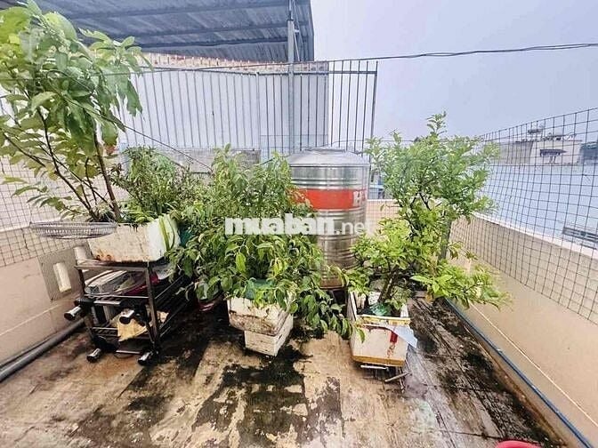 Bán Gấp Nhà Đẹp Tam Phú 3 tầng 4x13 sổ hồng riêng 3PN